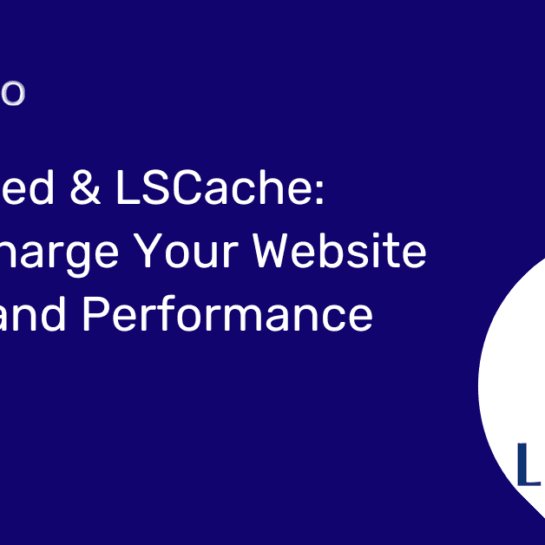 LiteSpeed web server performance